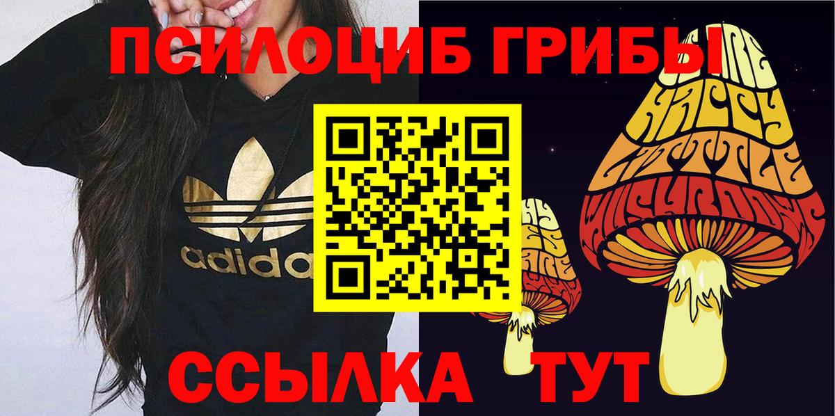 Новочебоксарск  закладки  Псилоцибиновые грибы мицелий  Вход с VPN  Псилоцибиновые грибы мухоморы 