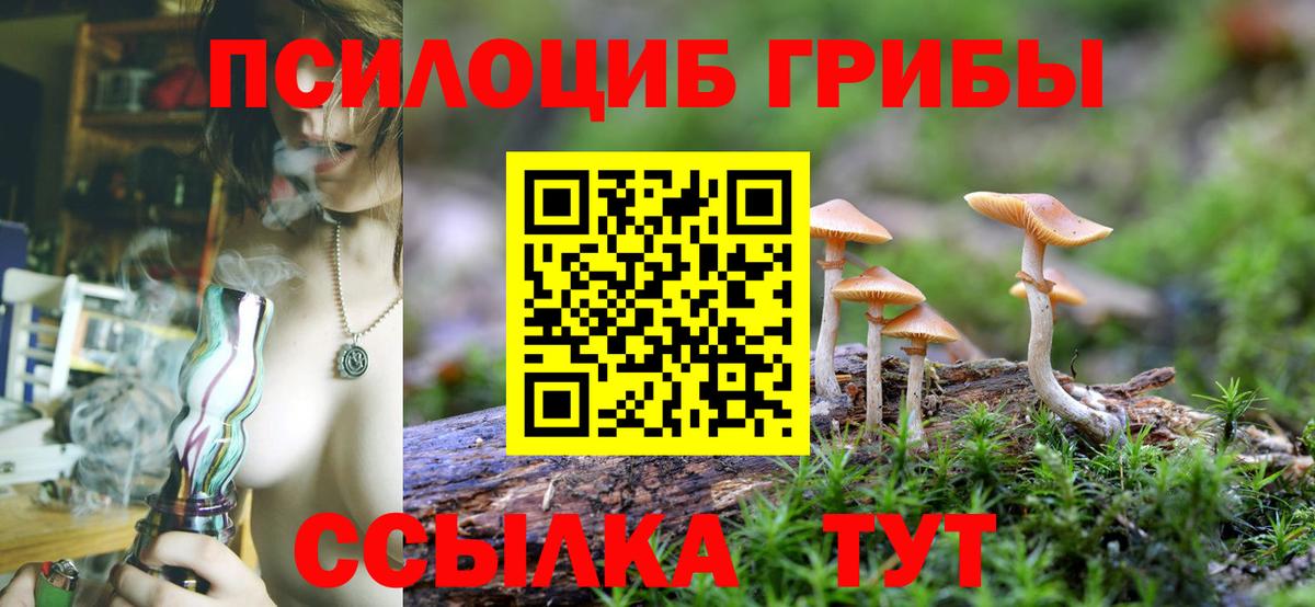 Псилоцибиновые грибы Psilocybe Новочебоксарск